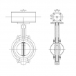 Pneumatic Butterfly Valve